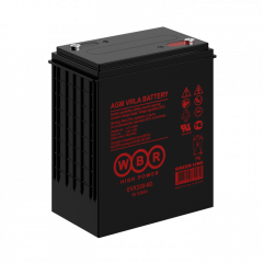 Аккумуляторная батарея WBR EVX330-6G (6В, 330Ач)